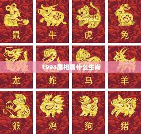 1994年生肖五行|1994 年出生属什么生肖